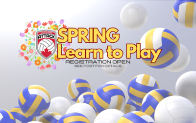 2025 – Spring Learn to play