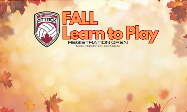 2024 – Fall Learn to play